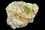 Lustrous, Apatite Crystals in Feldspar - Imilchil, Morocco #107891-2